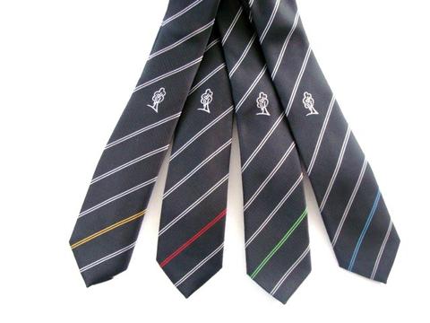 Llanwern High School 6th Form Ties