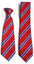Maindee Primary School Ties