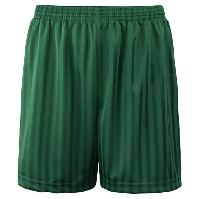Shadow Stripe PE Shorts (Various Colours)