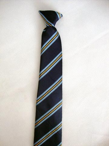 St. Josephs High School Ties