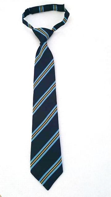 St. Josephs High School Ties