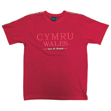 Land of Dragons Wales T Shirt