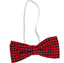 St Davids Day Bow Tie