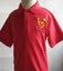 Bro Teyrnon Primary School Polo Shirt