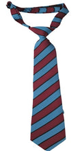 Lliswerry High School Velcro Tie